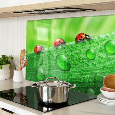 Deska kuchenna szklana z motywem biedronek na zielonym tle