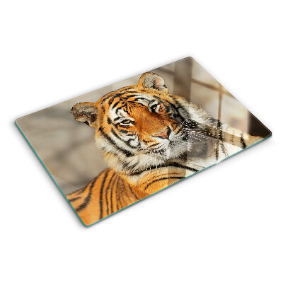 Deska kuchenna szklana z motywem tygrysa w naturalnym ujęciu