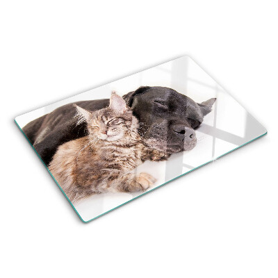 Szklana deska kuchenna z nadrukiem przedstawiającym śpiącego kota i psa