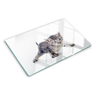 Szklana deska kuchenna z motywem kotka z niebieskimi oczami