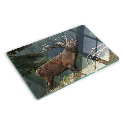 Szklana deska kuchenna z motywem jelenia w naturalnym środowisku