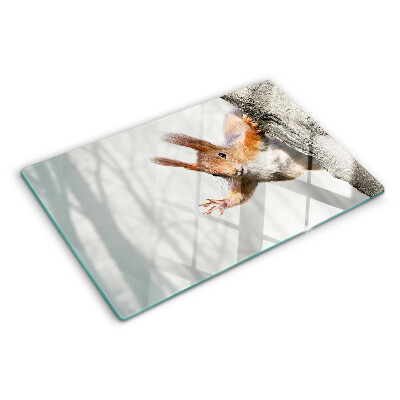 Szklana deska kuchenna z nadrukiem wiewiórki na gałęzi