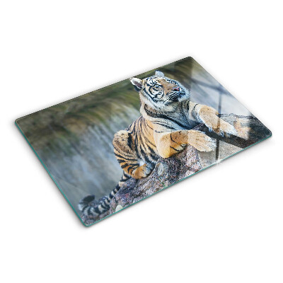 Deska kuchenna szklana z nadrukiem przedstawiającym tygrysa na pniu drzewa