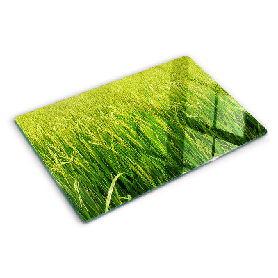 Szklana deska kuchenna z motywem zielonego pola trawy