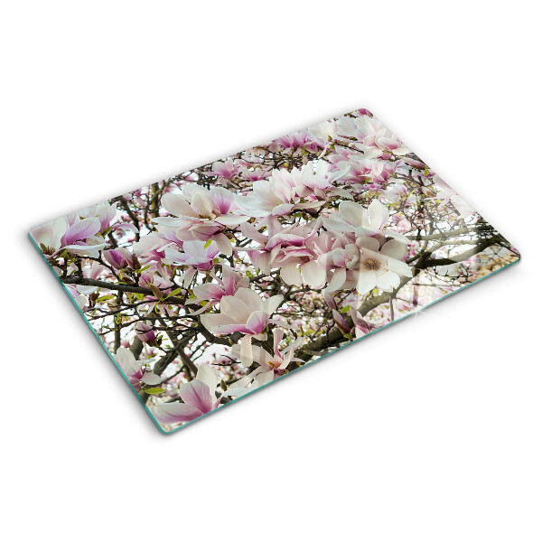 Deska kuchenna szklana Kwiaty magnolii