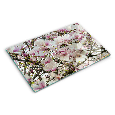 Deska kuchenna szklana Kwiaty magnolii