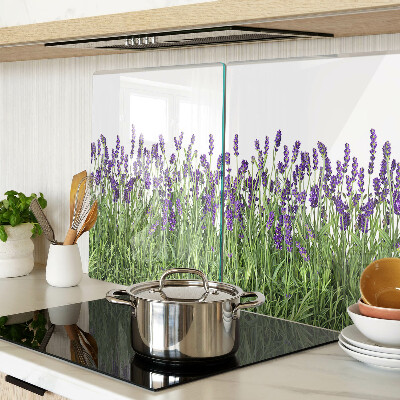 Szklana deska kuchenna z motywem lawendowego pola w słońcu