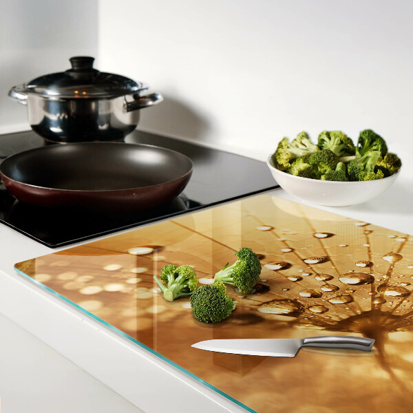Szklana deska kuchenna z motywem kropli wody na mniszku lekarskim