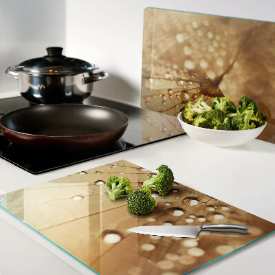 Szklana deska kuchenna z motywem kropli wody na mniszku lekarskim