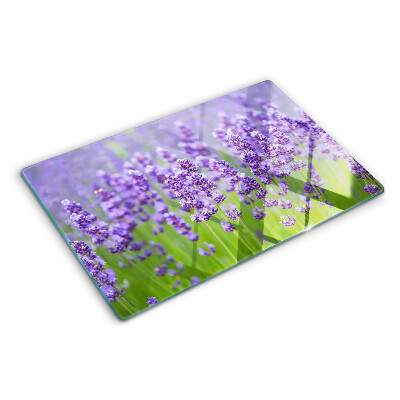 Szklana deska kuchenna z motywem lawendowego pola