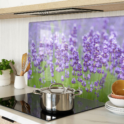 Szklana deska kuchenna z motywem lawendowego pola