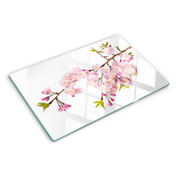 Szklana deska kuchenna z motywem kwiatu wiśni wiosennego