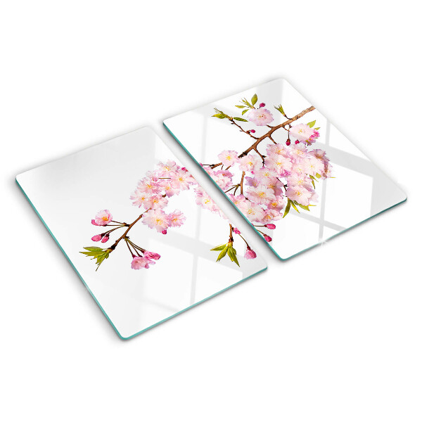 Szklana deska kuchenna z motywem kwiatu wiśni wiosennego
