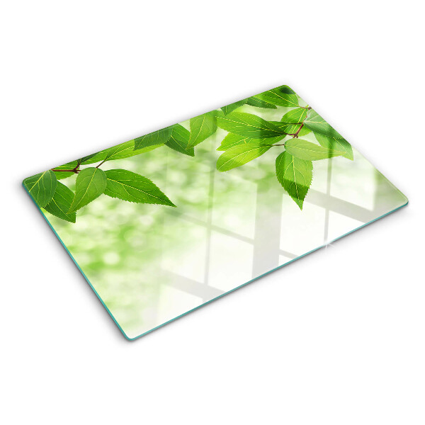 Szklana deska kuchenna z motywem liści na tle rozmytej zieleni