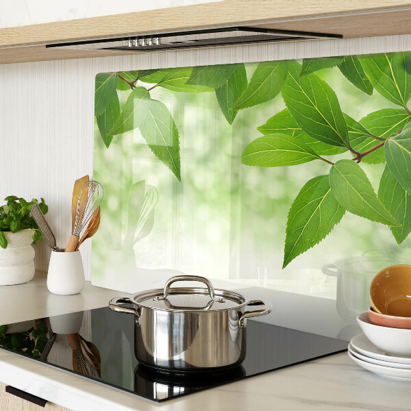 Szklana deska kuchenna z motywem liści na tle rozmytej zieleni