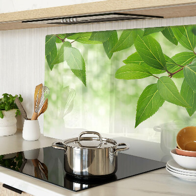 Szklana deska kuchenna z motywem liści na tle rozmytej zieleni