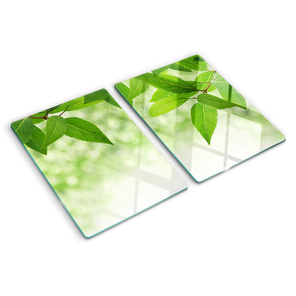 Szklana deska kuchenna z motywem liści na tle rozmytej zieleni