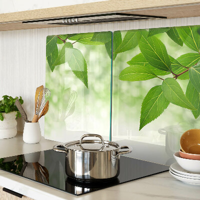 Szklana deska kuchenna z motywem liści na tle rozmytej zieleni