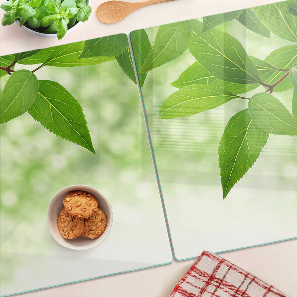 Szklana deska kuchenna z motywem liści na tle rozmytej zieleni