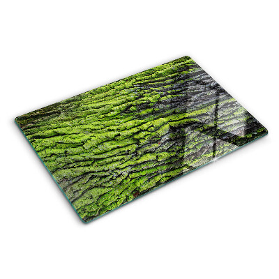 Szklana deska kuchenna z motywem zielonej kory drzewa