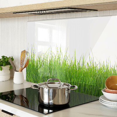 Szklana deska kuchenna z motywem trawy w słońcu