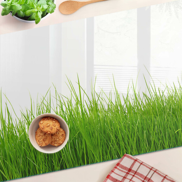 Szklana deska kuchenna z motywem trawy w słońcu