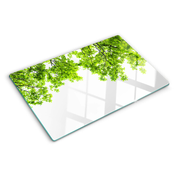 Szklana deska kuchenna z motywem zielonych liści na tle nieba