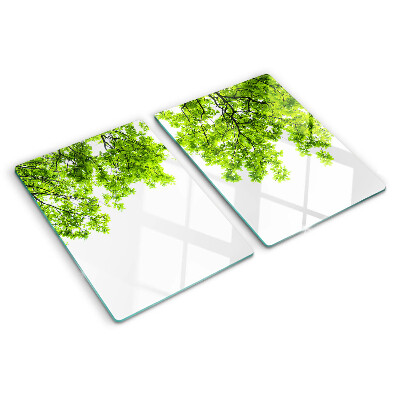 Szklana deska kuchenna z motywem zielonych liści na tle nieba