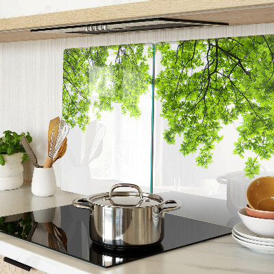 Szklana deska kuchenna z motywem zielonych liści na tle nieba