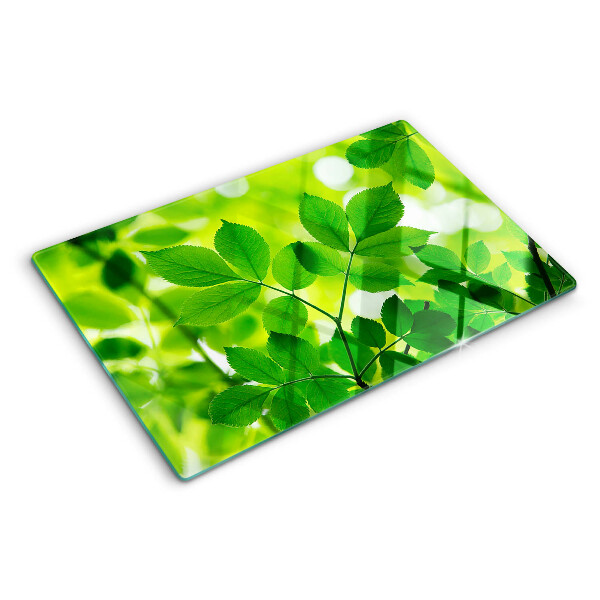 Deska kuchenna szklana z motywem liści na zielonym tle