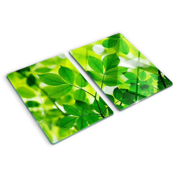Deska kuchenna szklana z motywem liści na zielonym tle