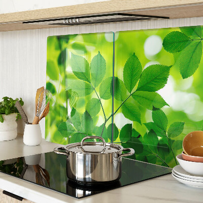 Deska kuchenna szklana z motywem liści na zielonym tle