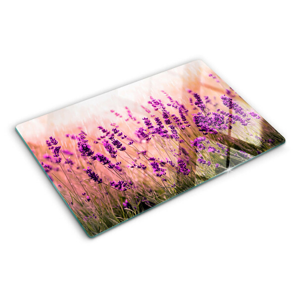 Szklana deska kuchenna z motywem lawendowego pola w promieniach słońca