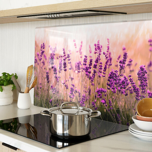 Szklana deska kuchenna z motywem lawendowego pola w promieniach słońca