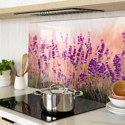 Szklana deska kuchenna z motywem lawendowego pola w promieniach słońca