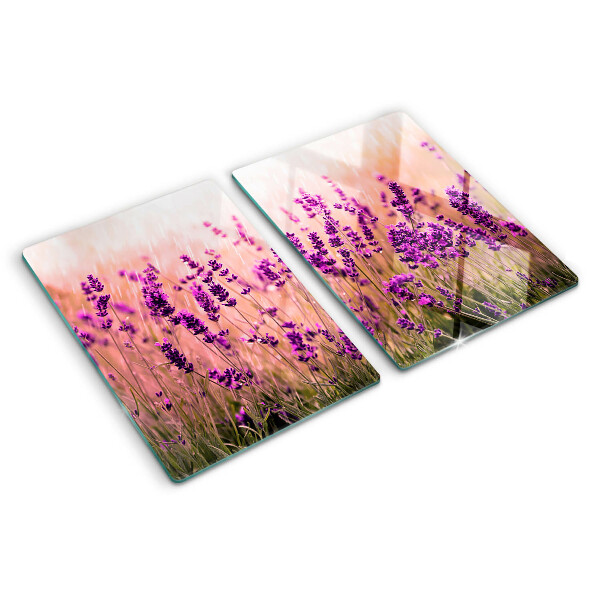 Szklana deska kuchenna z motywem lawendowego pola w promieniach słońca
