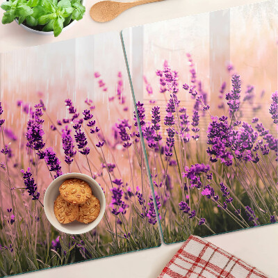 Szklana deska kuchenna z motywem lawendowego pola w promieniach słońca