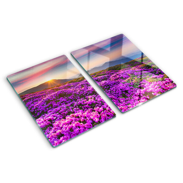 Deska kuchenna szklana z motywem kwiatowego krajobrazu o zachodzie słońca