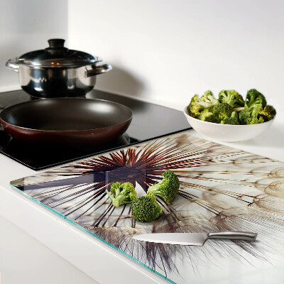 Szklana deska kuchenna z motywem dmuchawców w delikatnym świetle