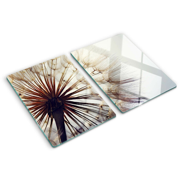 Szklana deska kuchenna z motywem dmuchawców w delikatnym świetle
