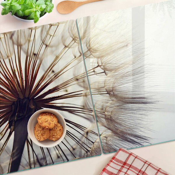 Szklana deska kuchenna z motywem dmuchawców w delikatnym świetle