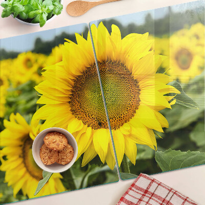 Deska kuchenna szklana z motywem słoneczników na tle zieleni