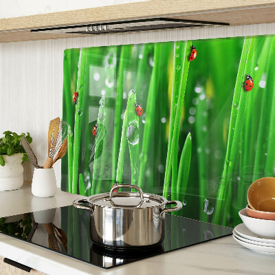 Szklana deska do krojenia z nadrukiem kropli wody na trawie z motywem biedronek