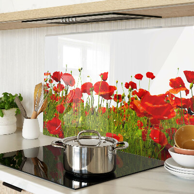 Szklana deska kuchenna z motywem maków na łące
