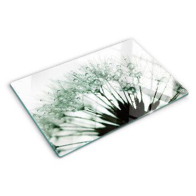 Szklana deska kuchenna z motywem dmuchawców ze spływającymi kroplami wody