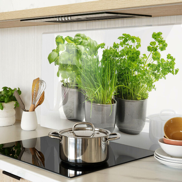 Szklana deska kuchenna z motywem ziół w doniczkach