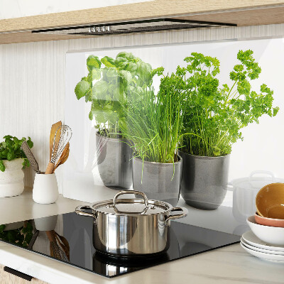 Szklana deska kuchenna z motywem ziół w doniczkach