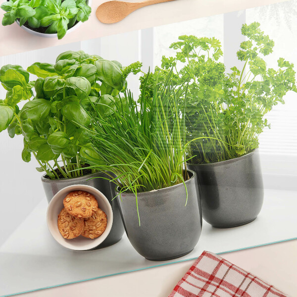 Szklana deska kuchenna z motywem ziół w doniczkach