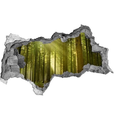 Samoprzylepna naklejka beton Zielony las o poranku