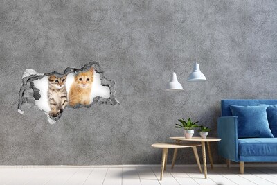 Dziura 3d fototapeta na ścianę Brązowy i rudy kot